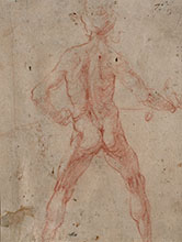STANDING MALE NUDE VIEWED FROM THE BACK