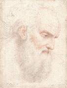 BEARDED VIRILE HEAD, TURNED TOWARDS THE RIGHT (Inspired by Perugino)