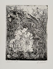 PRIMAVERA