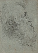 HEAD OF A BEARDED MAN, LOOKING UP TO THE RIGHT