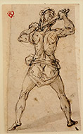 STANDING MALE NUDE VIEWED FROM THE BACK